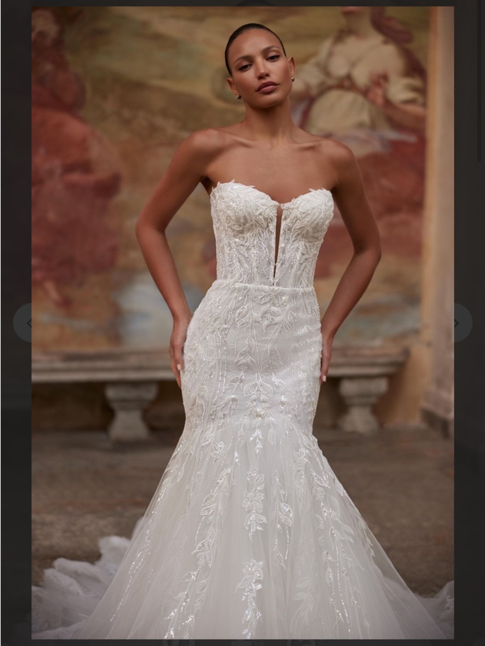 Pollardi Ellara Wedding Dress - Picture 3 of 6
